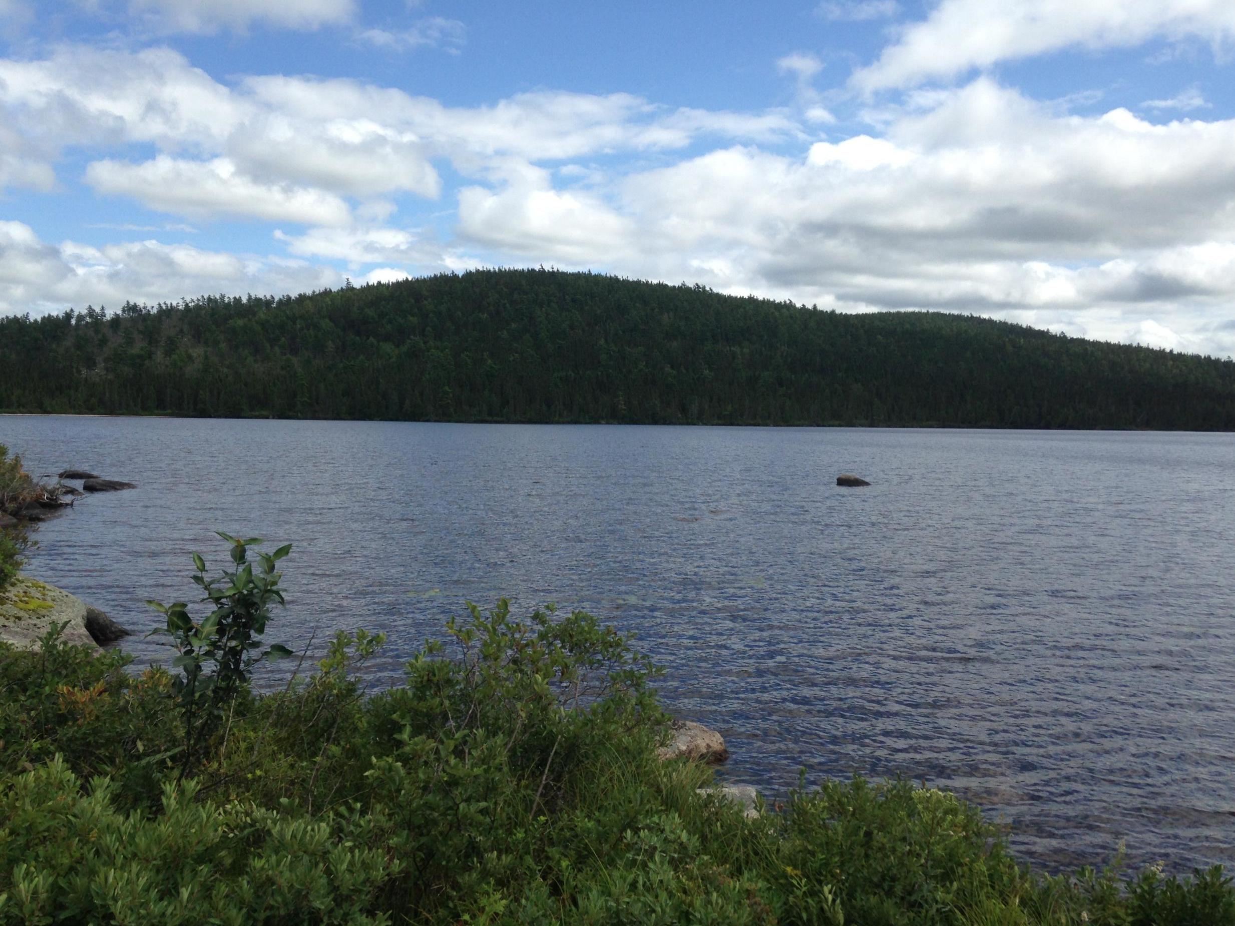 Scientists studied sediments at the bottom of five remote lakes in north-central New Brunswick