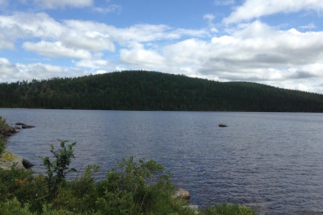 Scientists studied sediments at the bottom of five remote lakes in north-central New Brunswick