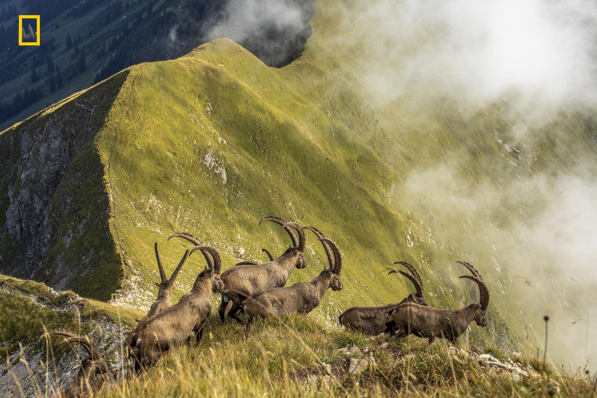Honourable mention: Nature