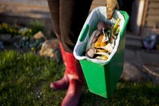 British supermarkets sign government pledge to halve food waste