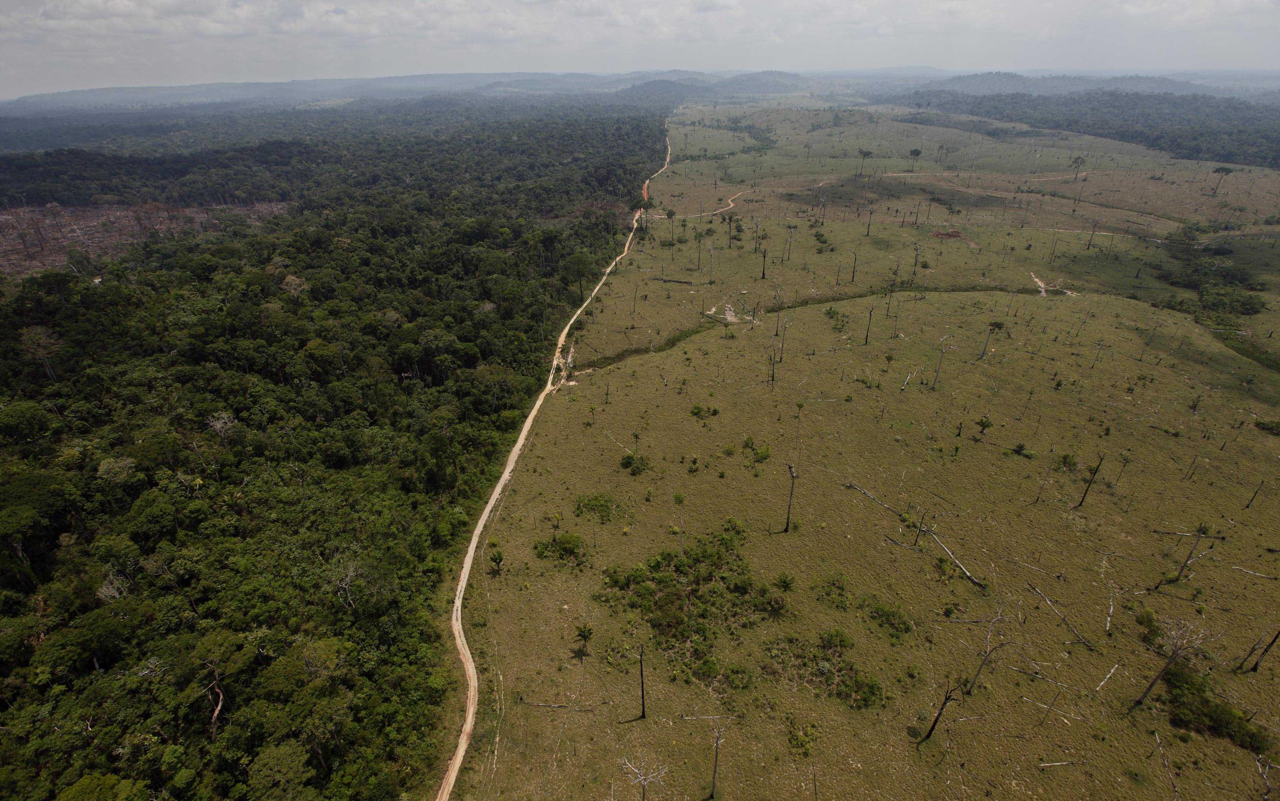 Bolsonaro has undone a number of key environmental standards in the country as he believes they hinder Brazil’s economic potential. Pictured is deforestation in the Amazon