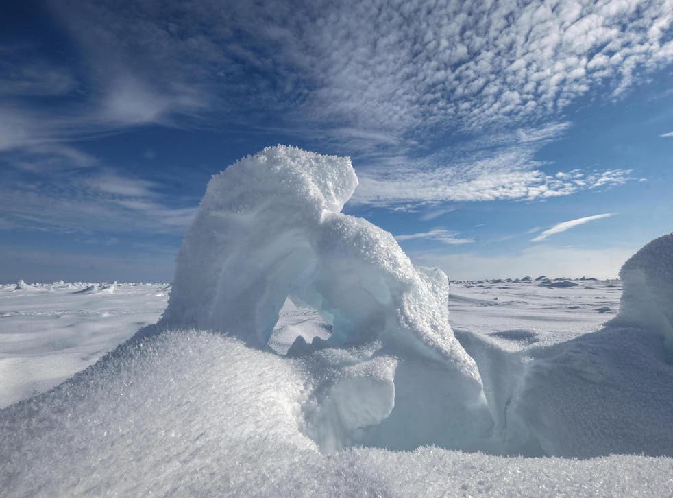 Previous climate modelling studies suggested that reduced sea-ice could not fully explain the cold winters (file photo)