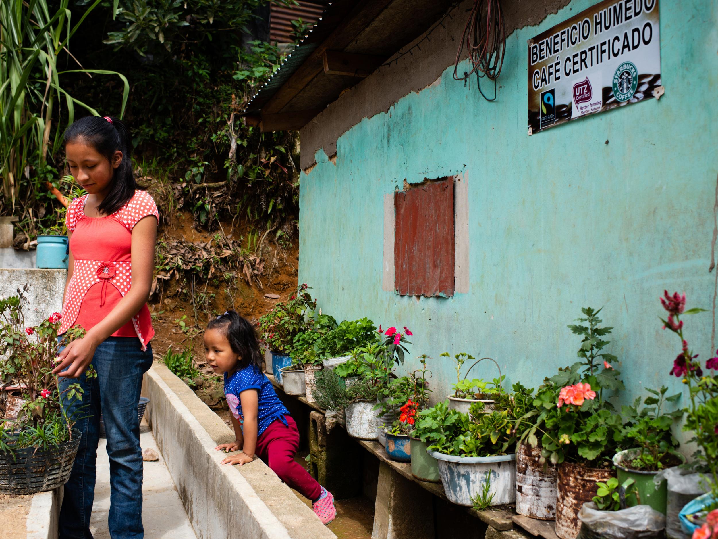 The children of Abelino Hernandez play outside the family’s beneficio, the processing plant that turns ripe coffee fruit into coffee beans (Sarah L Voisin/Washington Post)