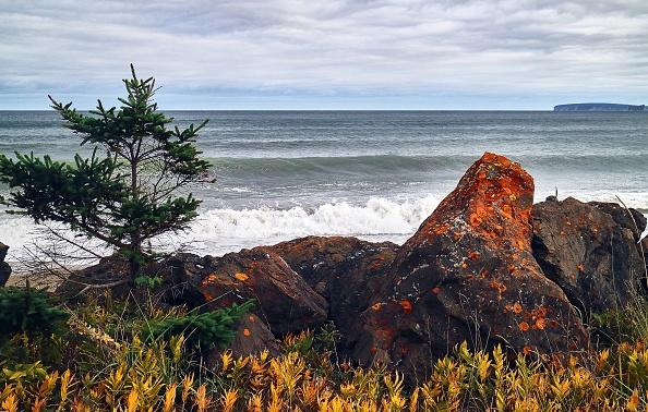 Canadian officials have confirmed human remains along the shores of Quebec's Gaspe Peninsula belonged to Irish migrants fleeing the Great Famine in 1847.