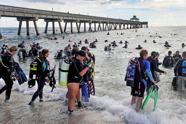 Divers enter the water to break the world record for the largest underwater cleanup at the Deerfield Beach International Fishing Pier in Florida