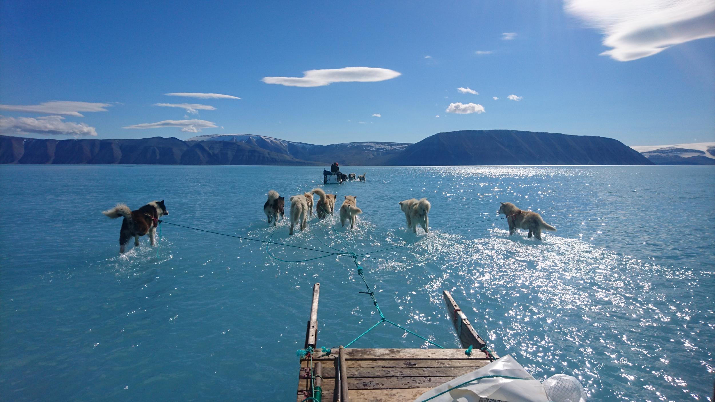 Temperatures in north west Greenland reached highs of over 17C last week, causing rapid melting
