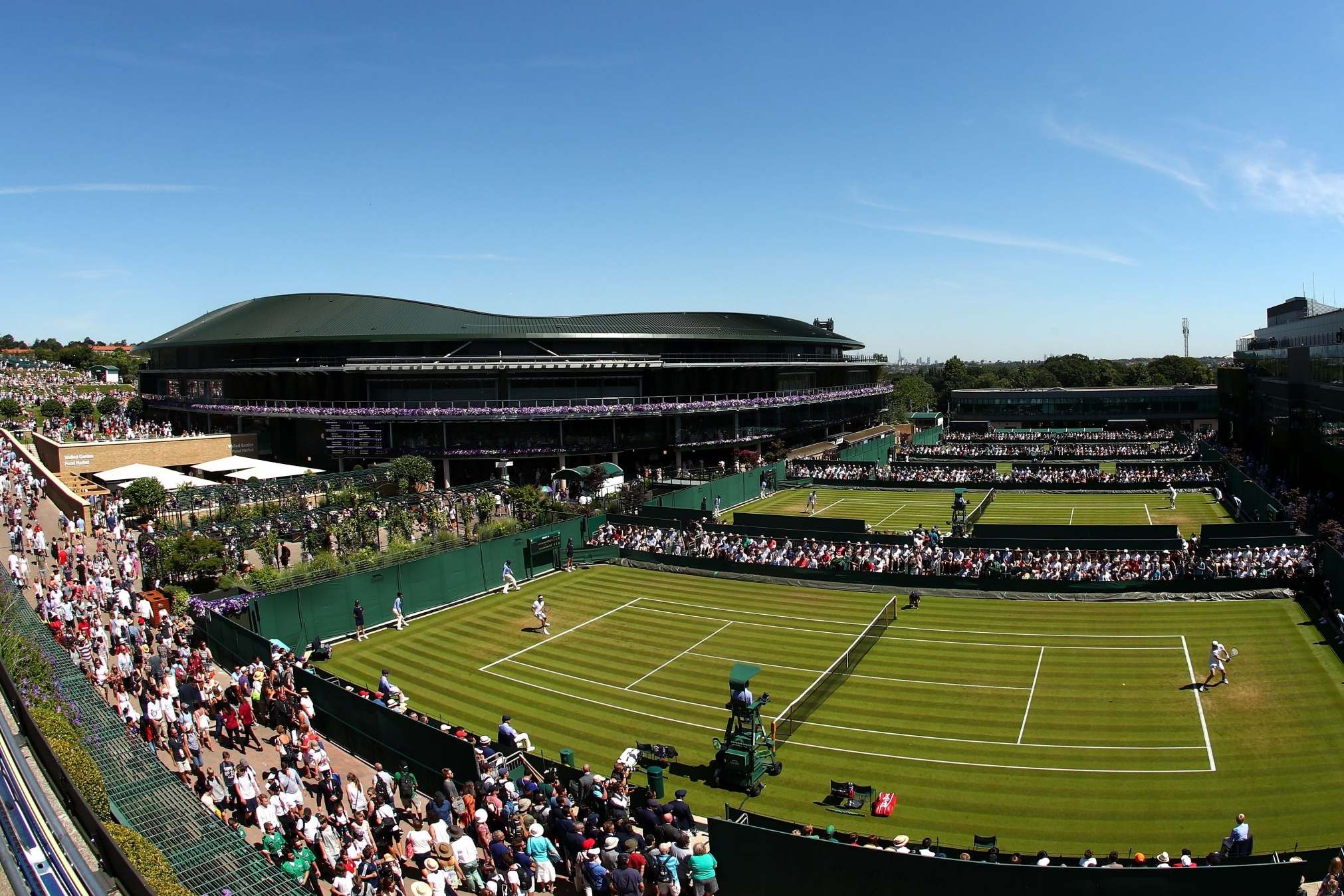 Green and pleasant land: the club currently has 18 tournament grass courts