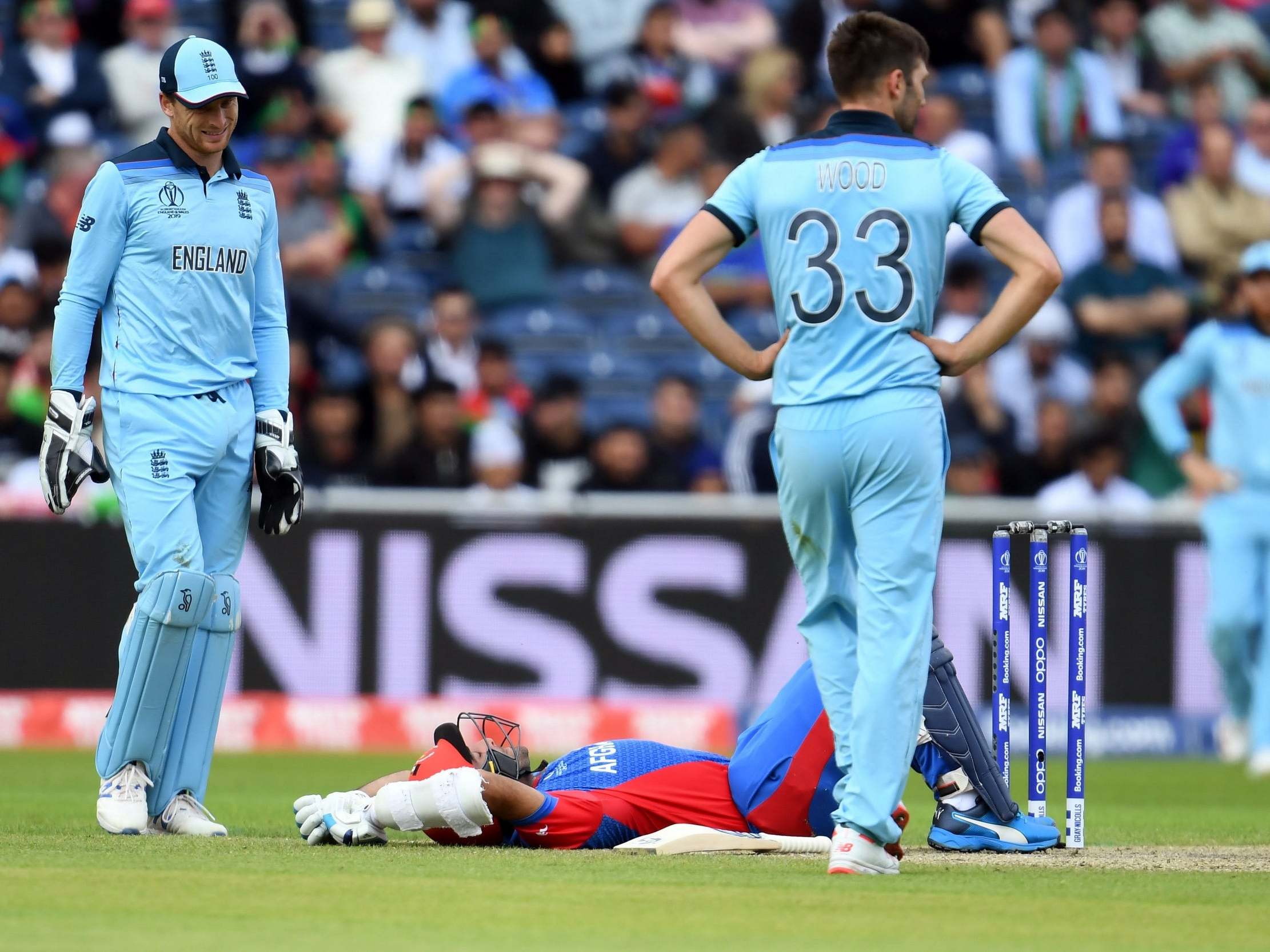 Afghanistan's Hashmatullah Shahidi was struck by a ball from Mark Wood during the defeat against England