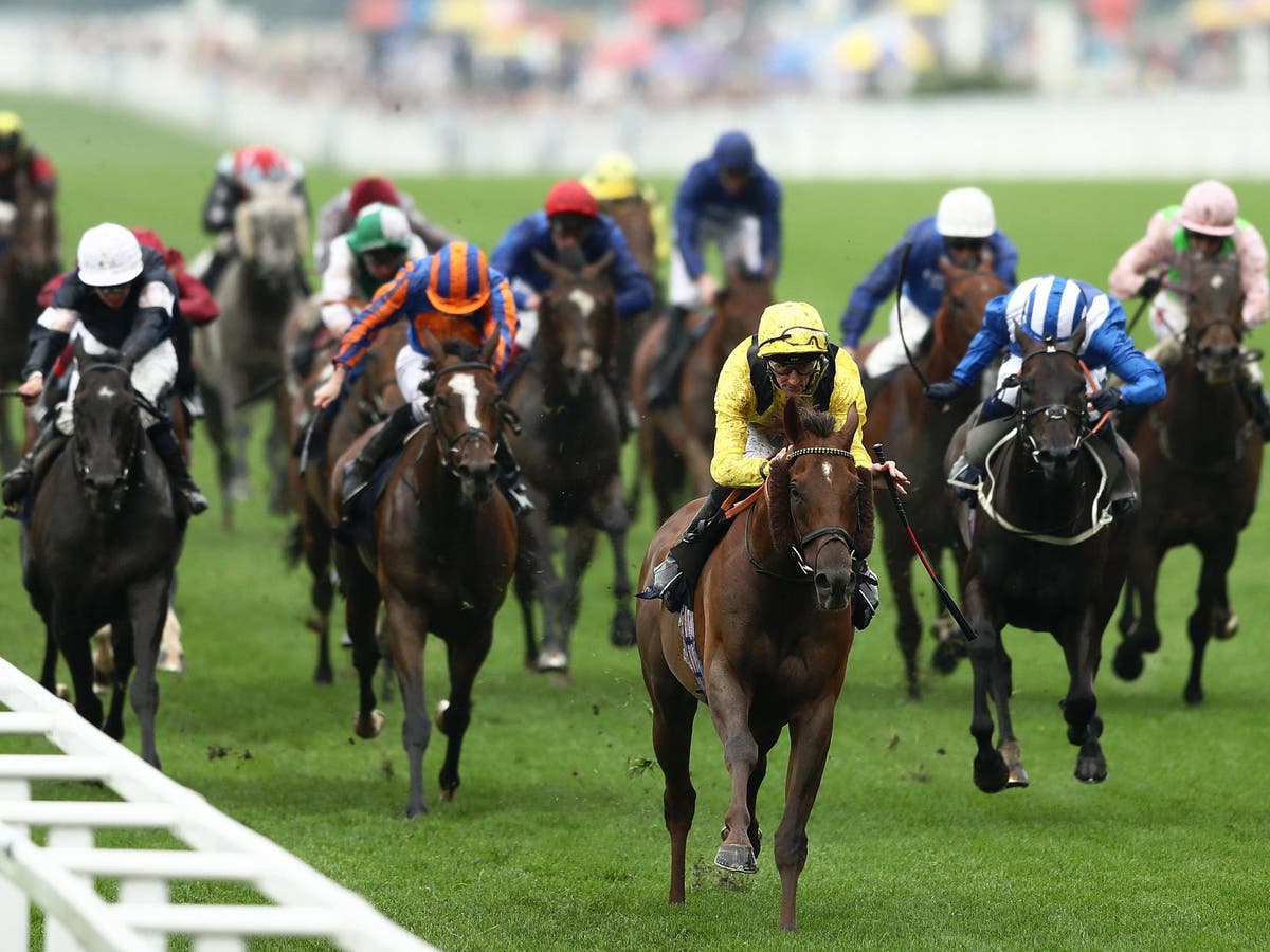 Royal Ascot 2019 LIVE results: Latest updates and horse racing action ...