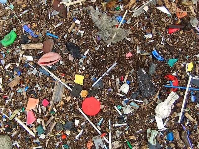 Plastic pollution on the banks of the Thames in Essex