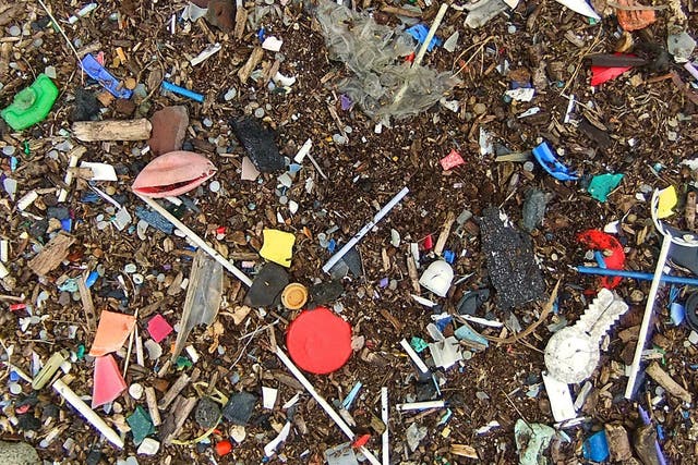 Plastic pollution on the banks of the Thames in Essex