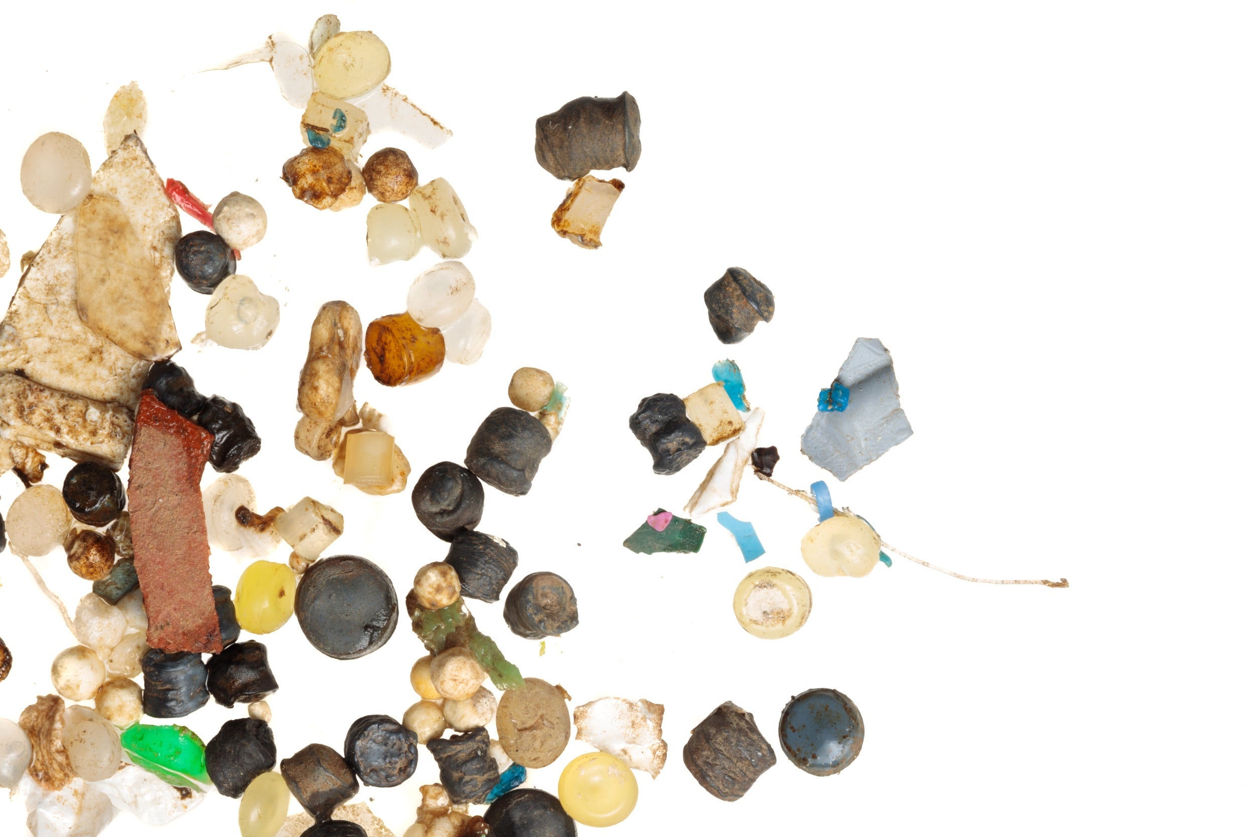 A sample of microplastics pulled out from the River Mersey in the UK