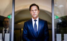 Dutch PM knocks down Brexit promises of Tory leadership contenders