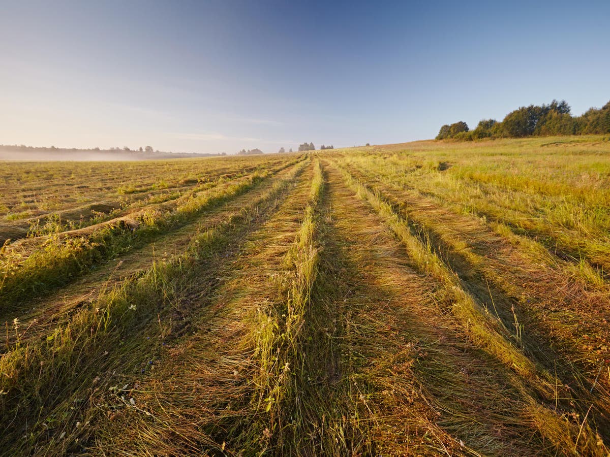 Celebrating the ordinary: Taking a look at the countryside for what it ...