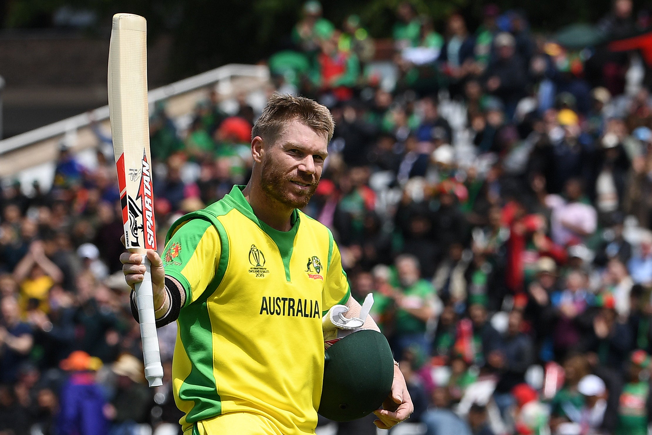 David Warner inspired Australia to victory