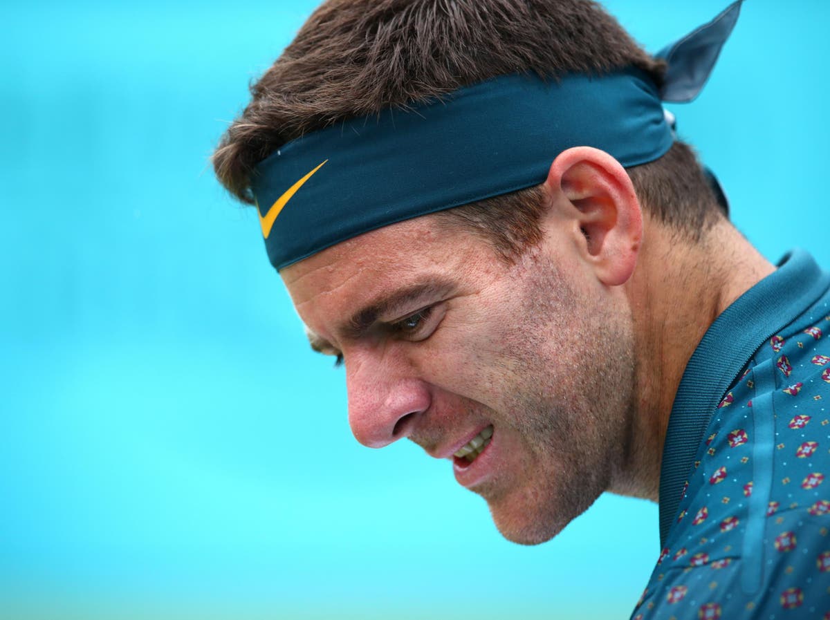 Juan Martin Del Potro admits career could be over after latest injury nightmare