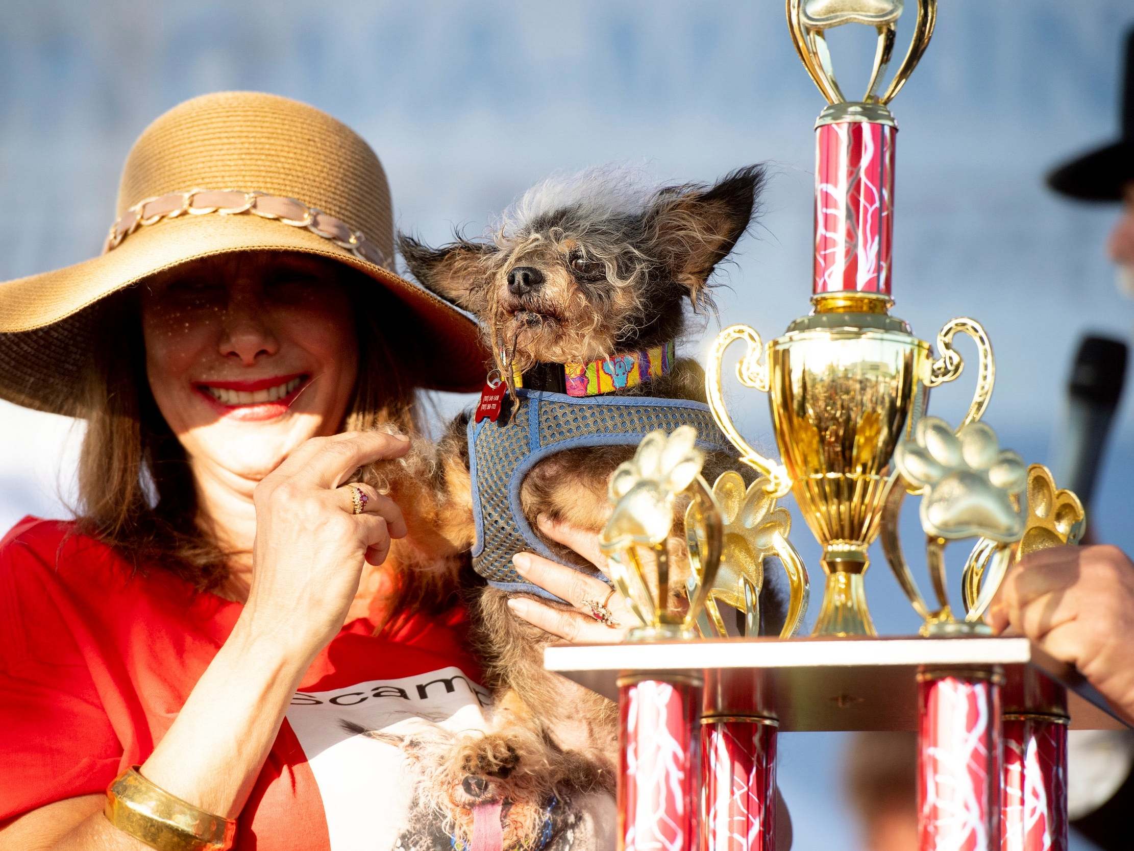 Scamp the Tramp is held by Darlene Wright after winning the World’s Ugliest Dog Contest at the Sonoma-Marin Fair