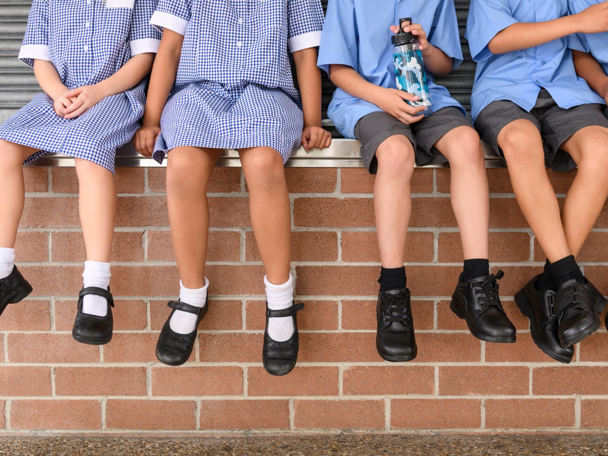 School Boy An School Girl Xxx - Irish primary school to introduce gender-neutral uniform policy | The  Independent | The Independent