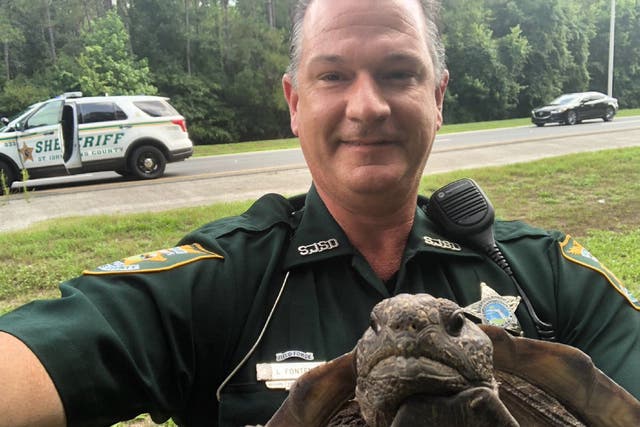 St John’s County Sheriff’s Deputy L Fontenot with the gopher tortoise he detained after it blocked a road in Florida.