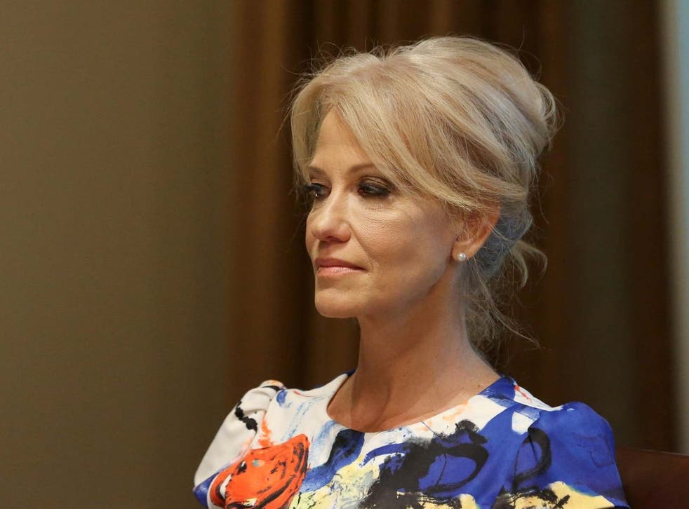 Kellyanne Conway is accused of violating the Hatch Act by attacking Democratic candidates while speaking in her official role