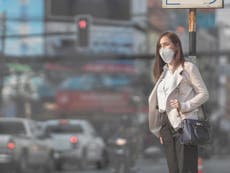 Air pollution from clogged city streets could wipe years off female fertility, study says