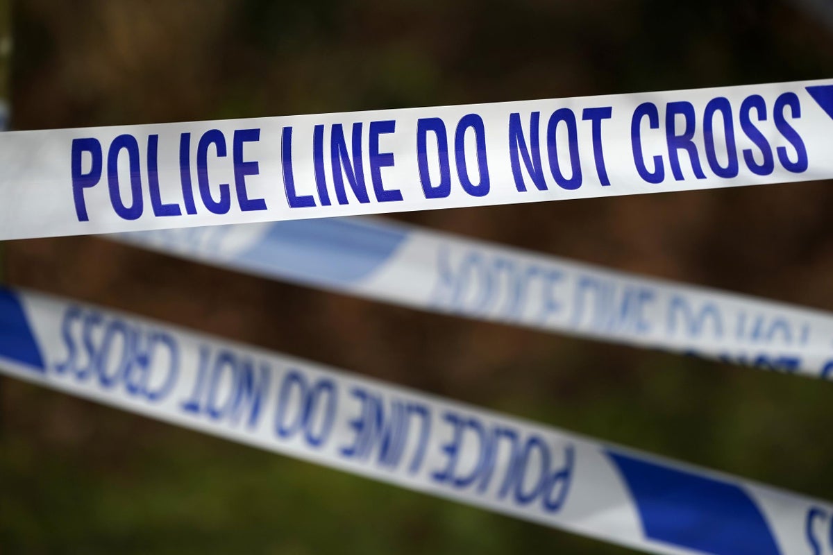 Teenager mauled to death by three dogs in backyard | The Independent ...