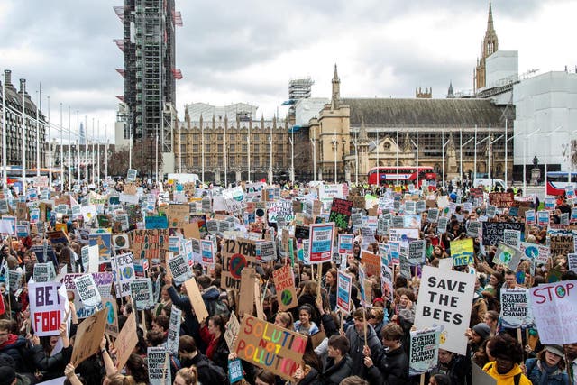 Demonstrators at a previous climate protest outside Parliament in London