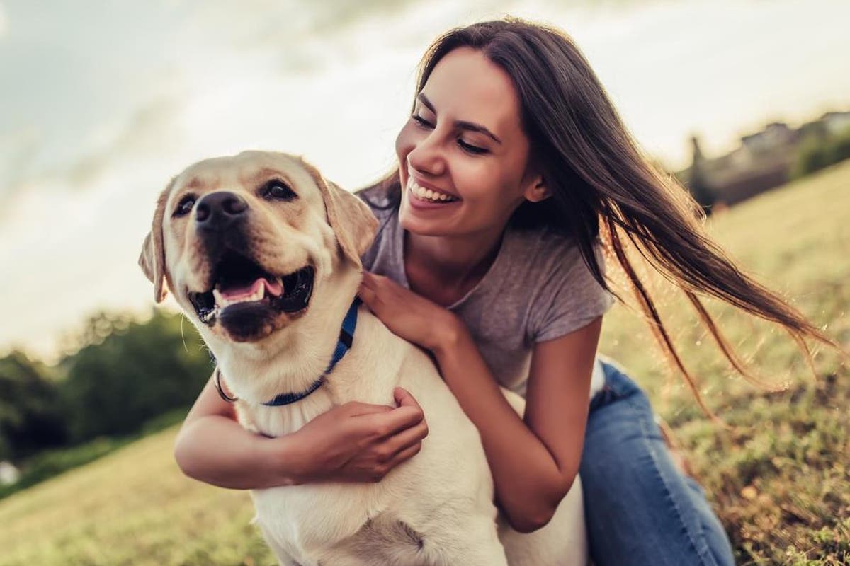 Top 50 ways to find happiness, including pets, painting and not working in an office