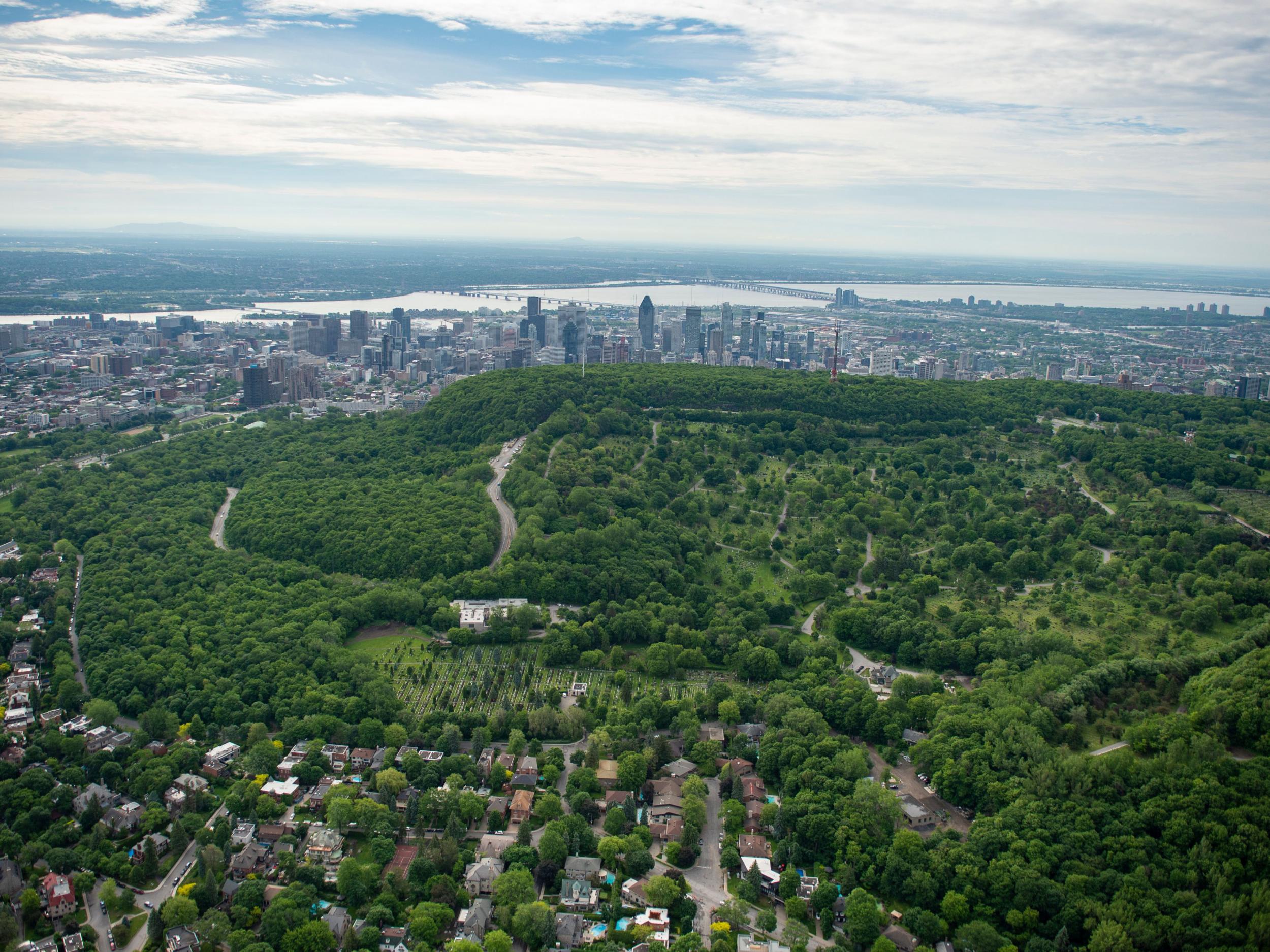 An aerial photo of Mount Royal’s trees