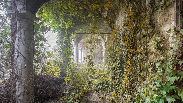 Abandoned Buildings Seen Reclaimed By Nature After Humans Leave In Collection Of Eerie Photos The Independent The Independent