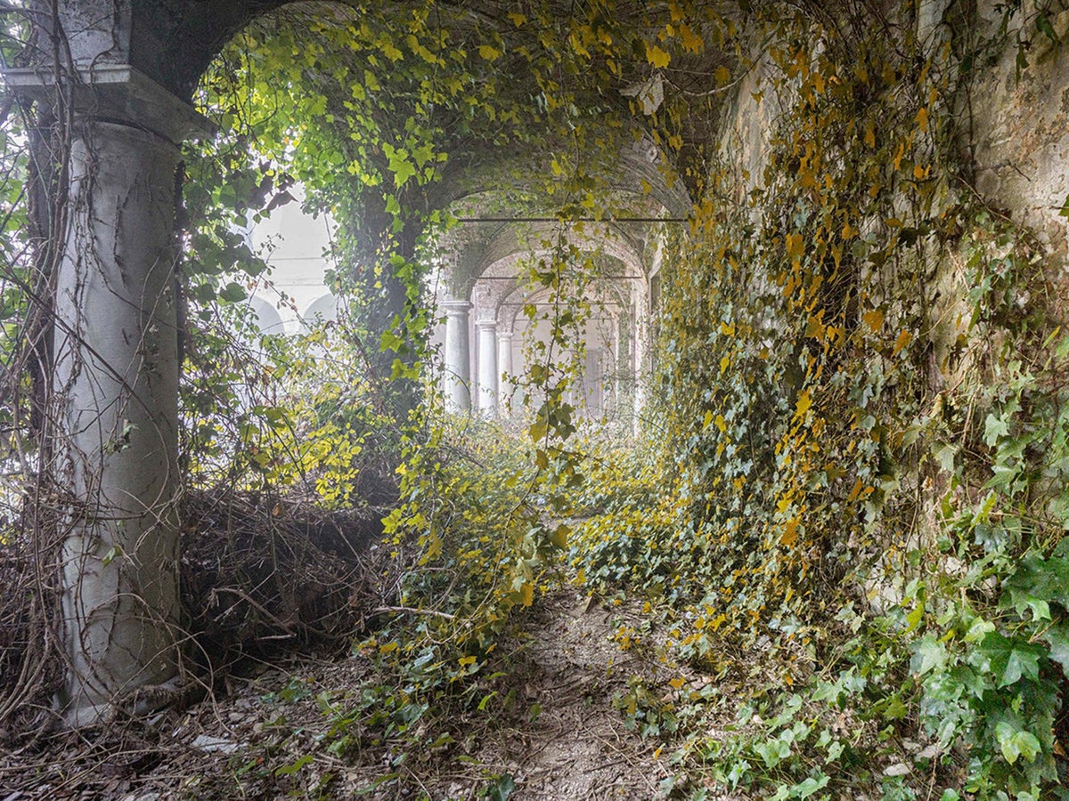 Abandoned seen reclaimed by after humans leave, in collection of eerie photos | The Independent | The