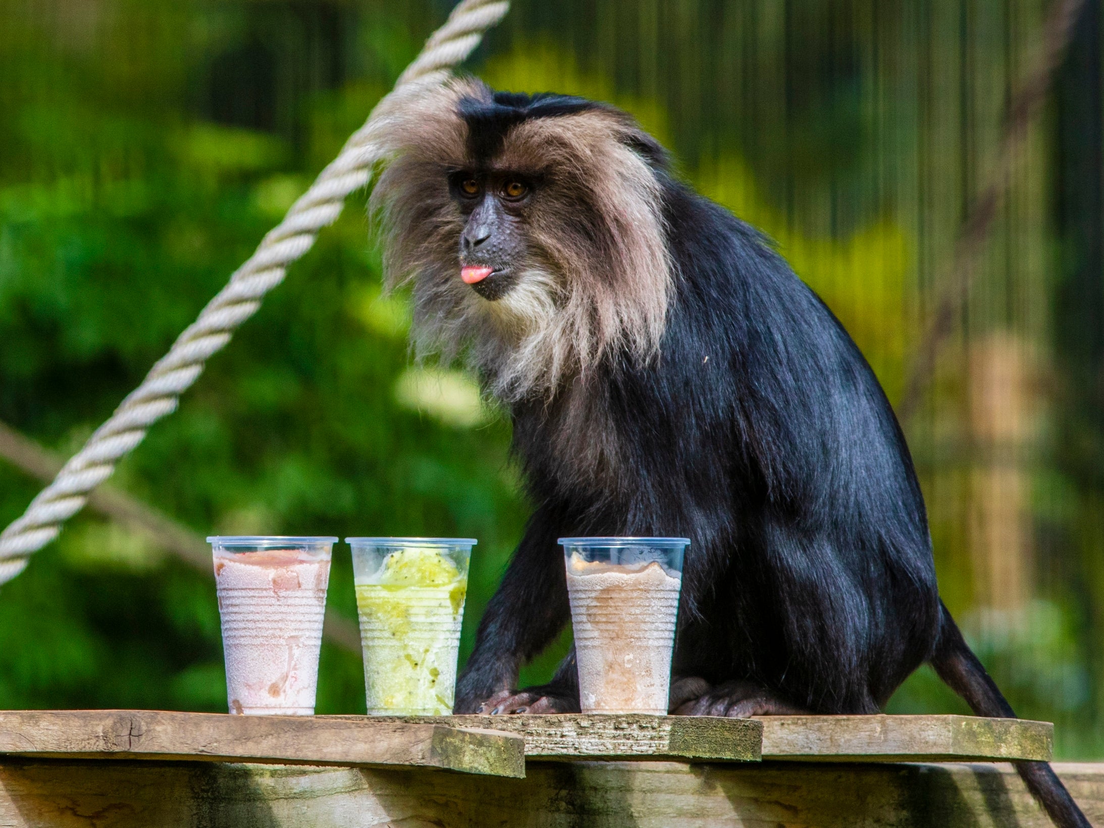 Nurseries reducing fresh fruit and vegetable portions given to children