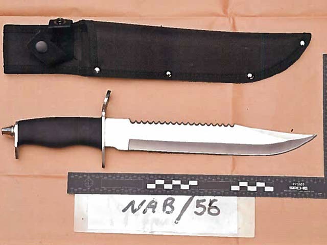 Haider Ahmed purchased a 15-inch hunting knife online