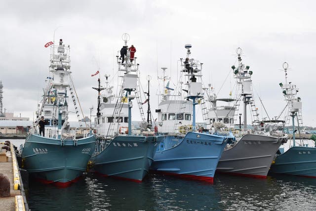 The last time Japanese ships went out on a commercial hunt was in 1988