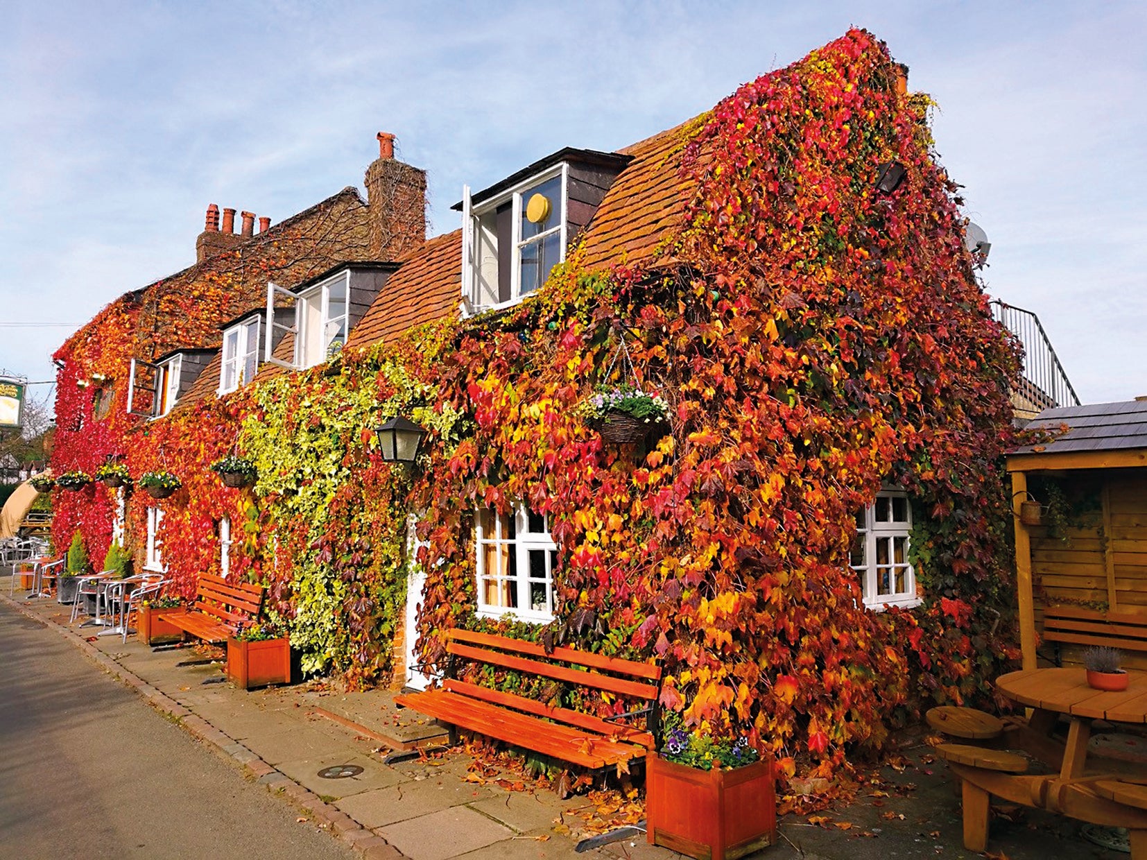 The ivy-covered facade of the The Bricklayers Arms, in Hertfordshire, described as having an "immaculate interior"