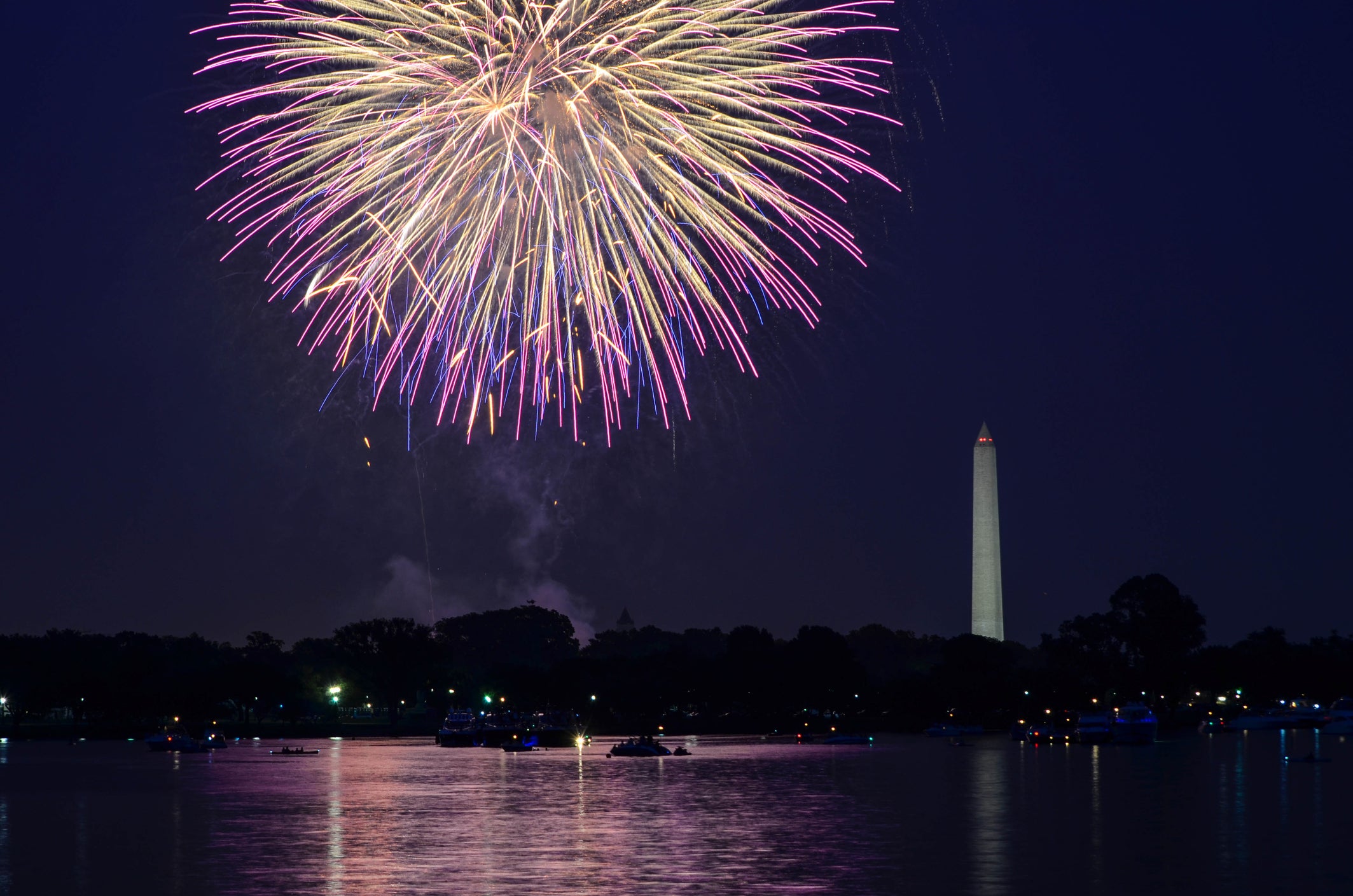 Fireworks on the National Park tidal basin in the capital (Getty/iStock)