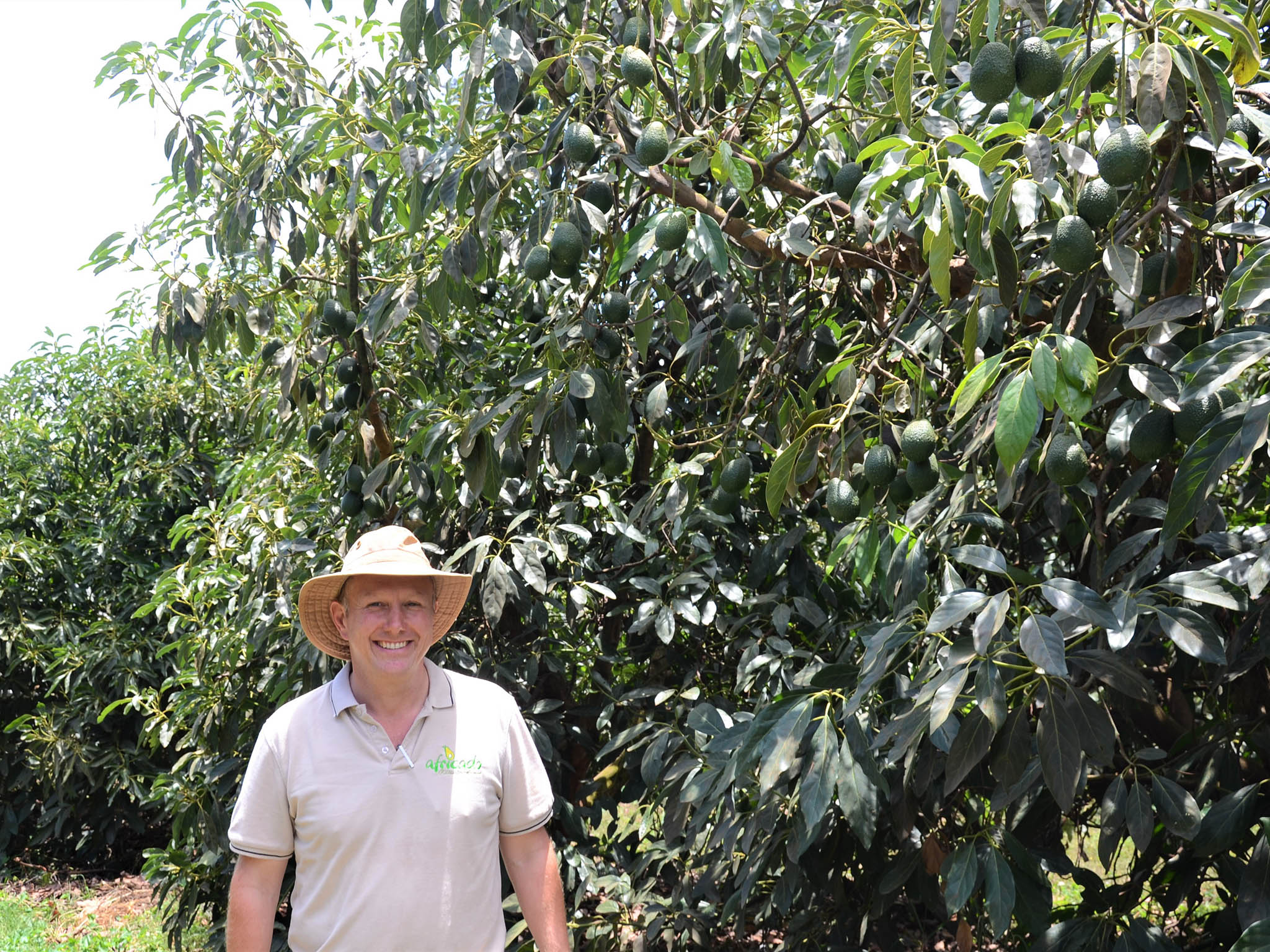 James Parsons and his avocado trees on the farm he set up in Tanzania