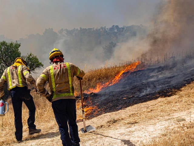 Firefighters try to extinguish a wildfire in Palma d'Ebre, near Tarragona, Spain