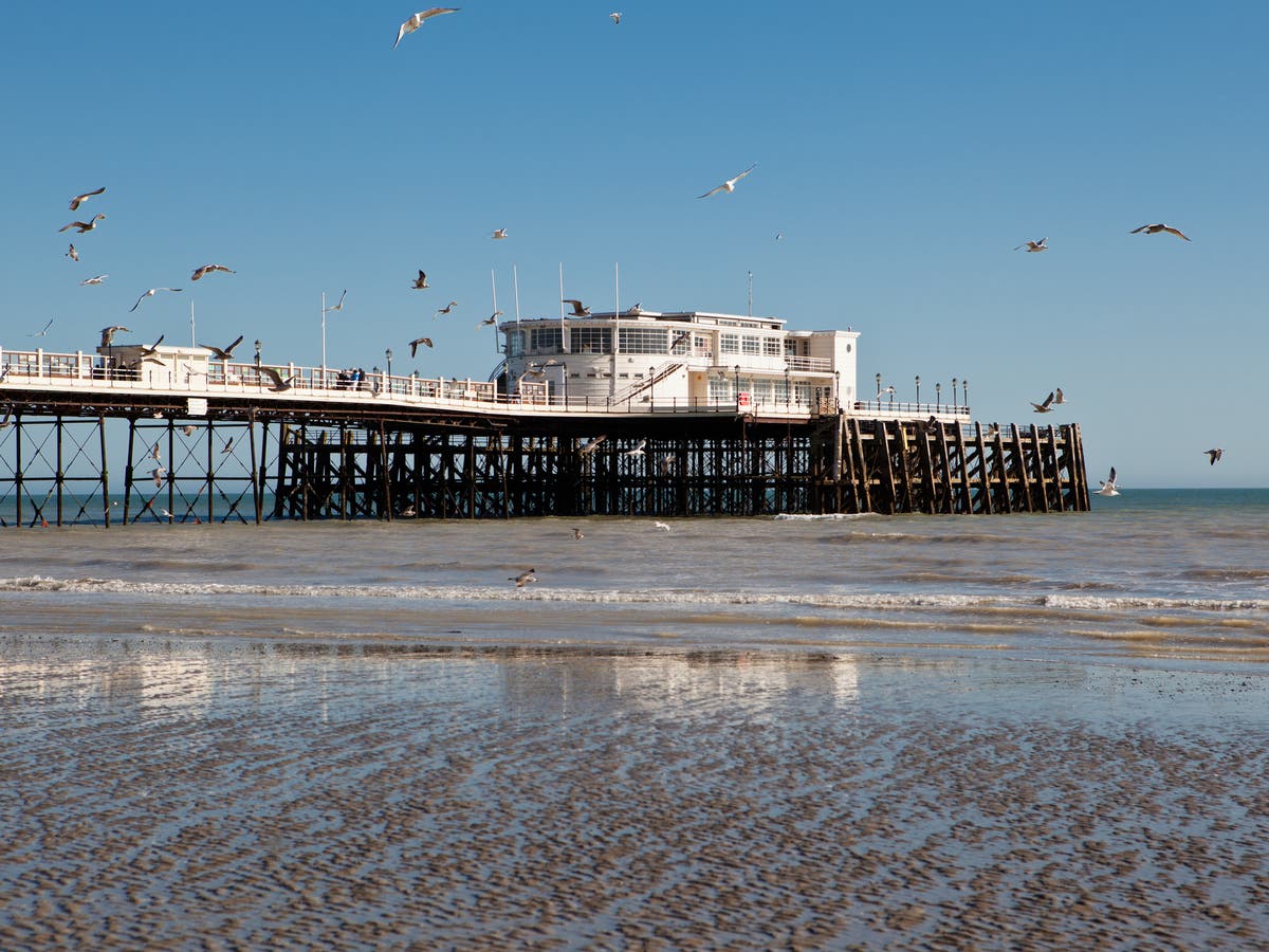 Plan to ban seagulls from the sea suspended