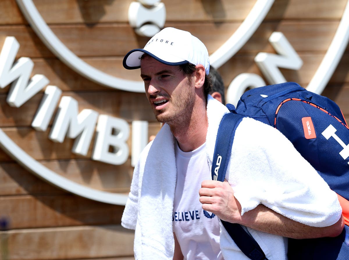 puntada Porque núcleo Wimbledon 2019: Why is Andy Murray wearing Castore and how much is the deal  worth? | The Independent | The Independent