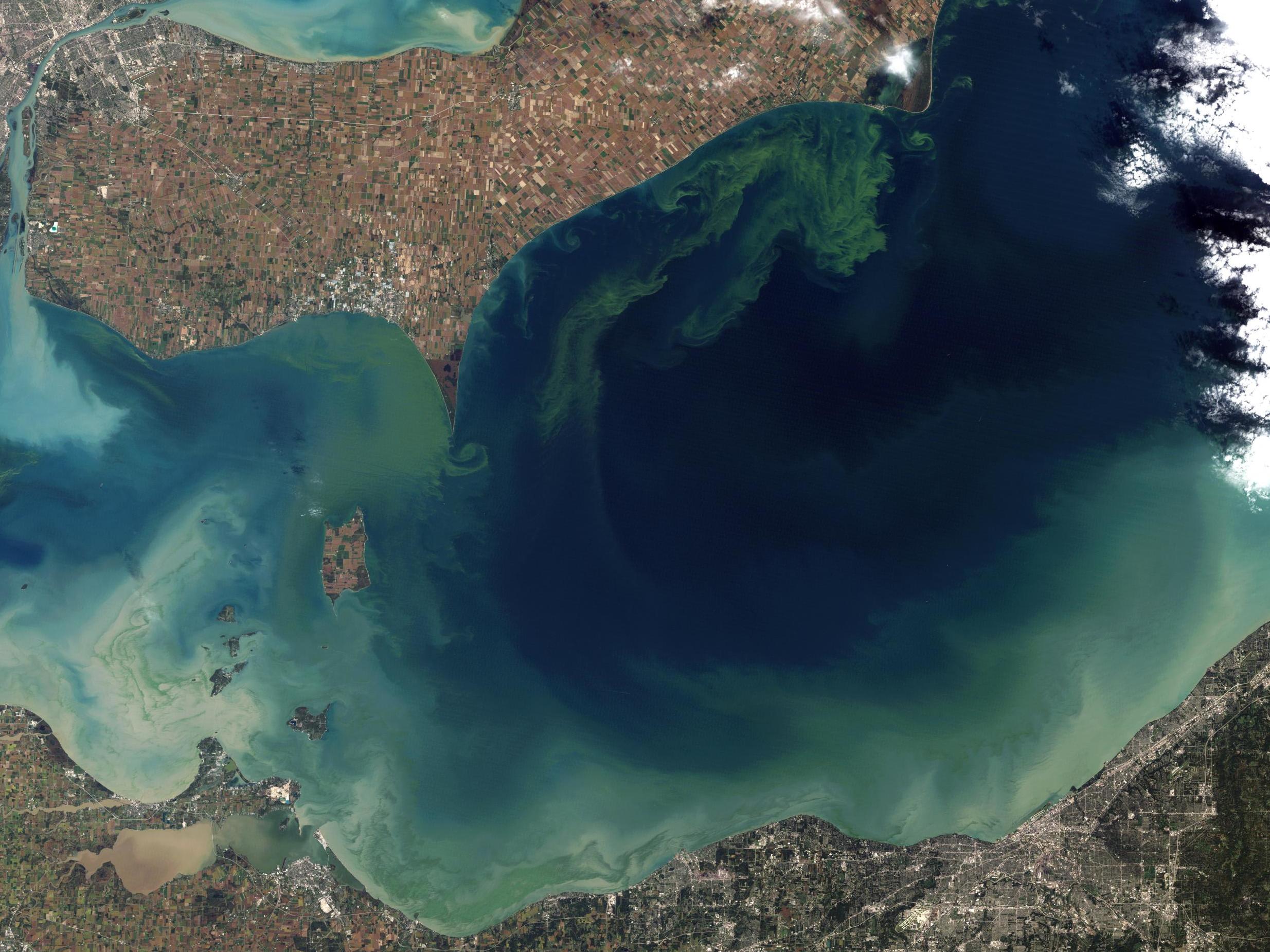 Some scientists say fertilising the ocean could destroy delicate ecosystems. Pictured is an algae bloom in Lake Erie