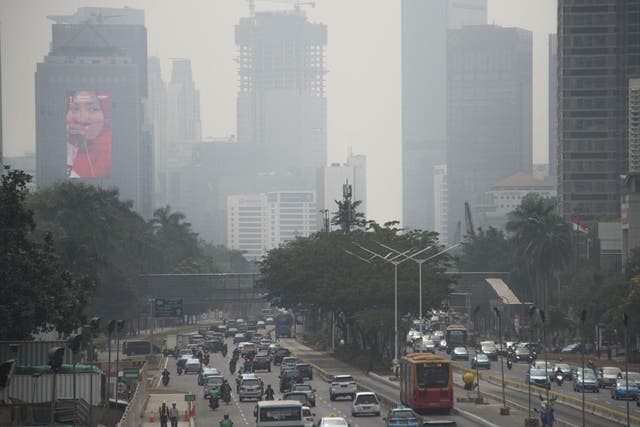 Joko Widodo's government has been sued over worsening levels of air pollution in Jakarta