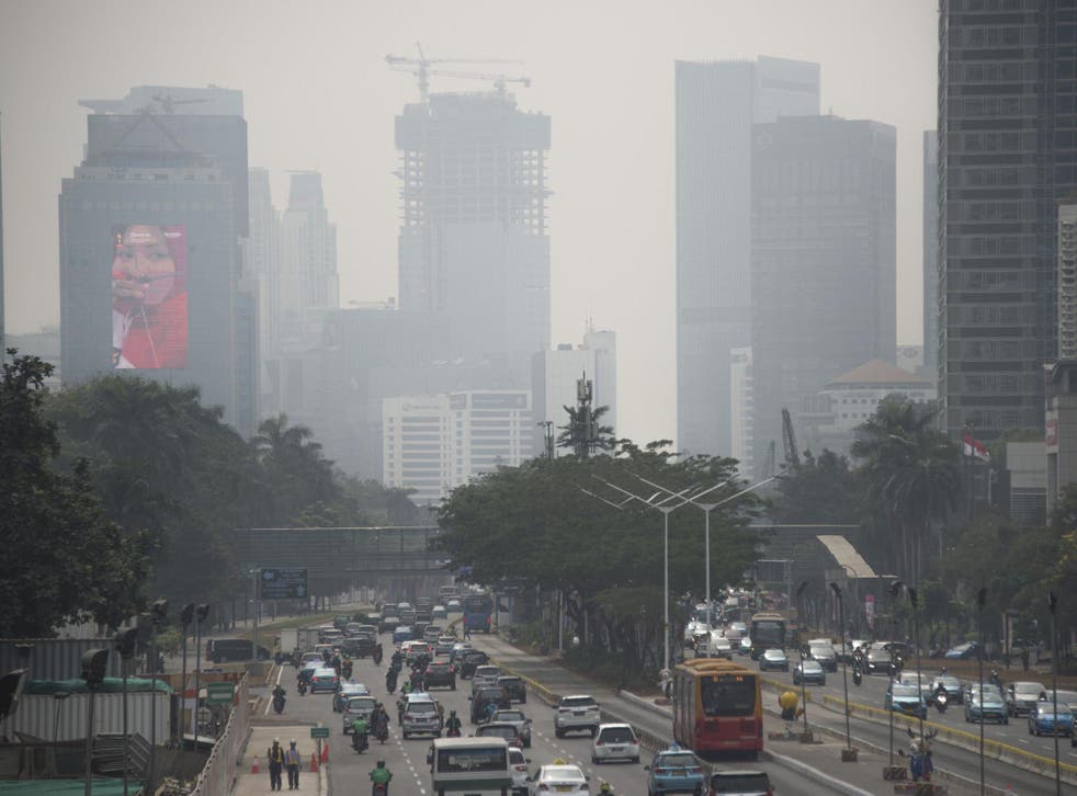 Joko Widodo's government has been sued over worsening levels of air pollution in Jakarta