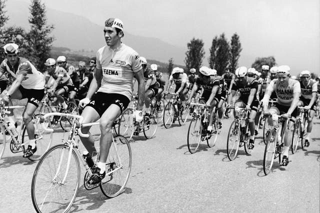 Easy rider: Merckx takes a breather as he leads the pack during stage 8 of the 1969 Tour