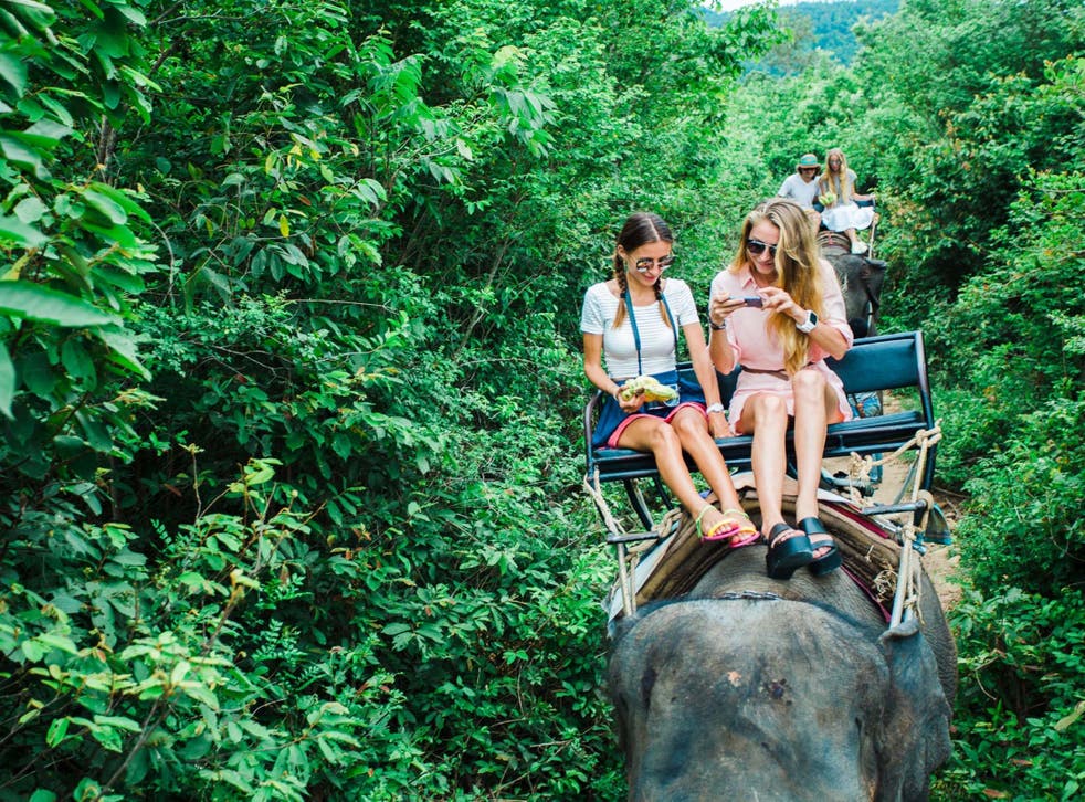 Elephant Rides In Thailand Just Tourism Or Abuse The Independent The Independent Elephant Rides In Thailand Just Tourism Or Abuse The Independent The Independent