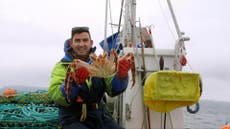 What it’s like to fish for king crab in the Arctic Ocean