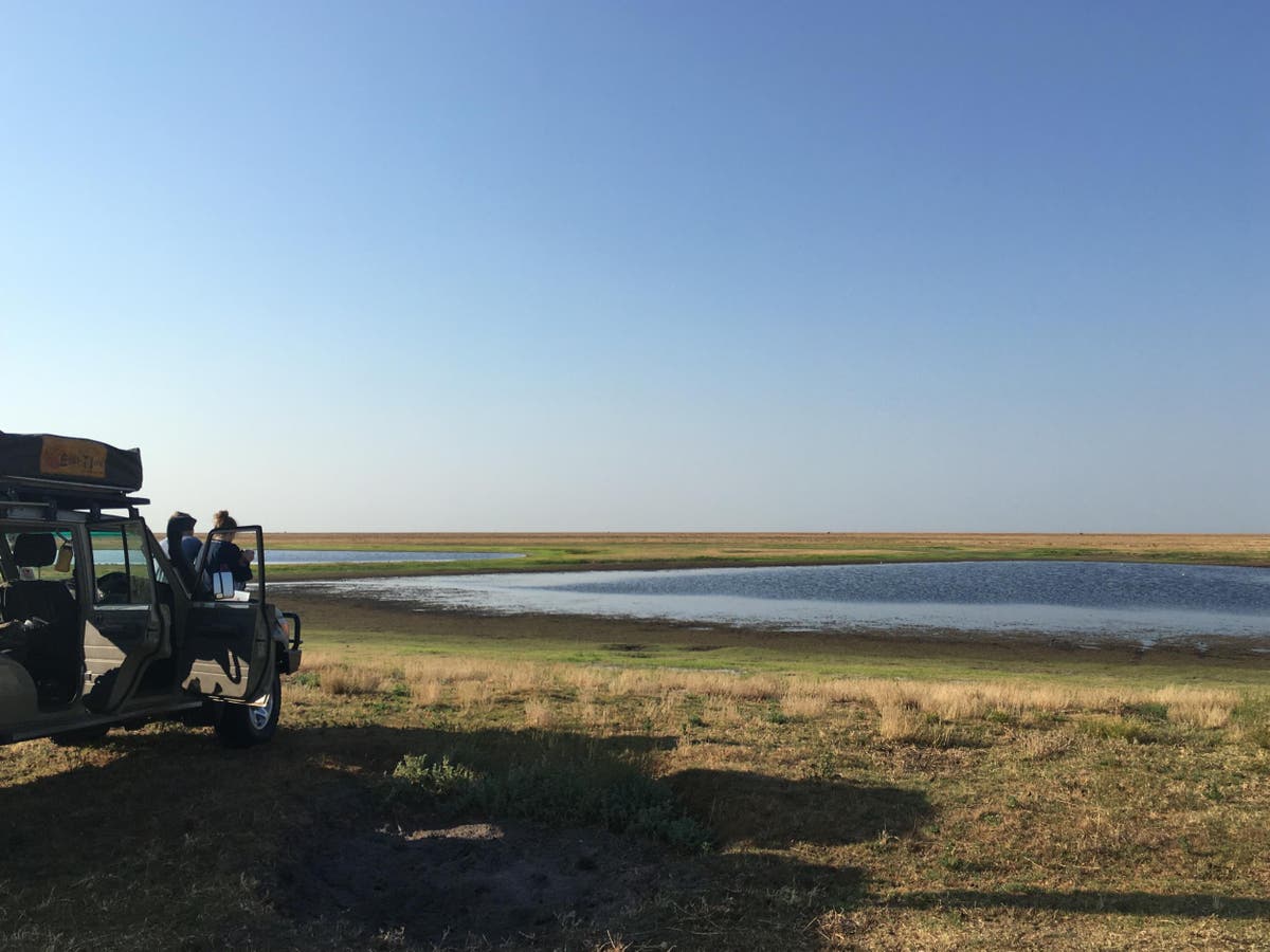 How to go on a safari without breaking the bank in Zambia