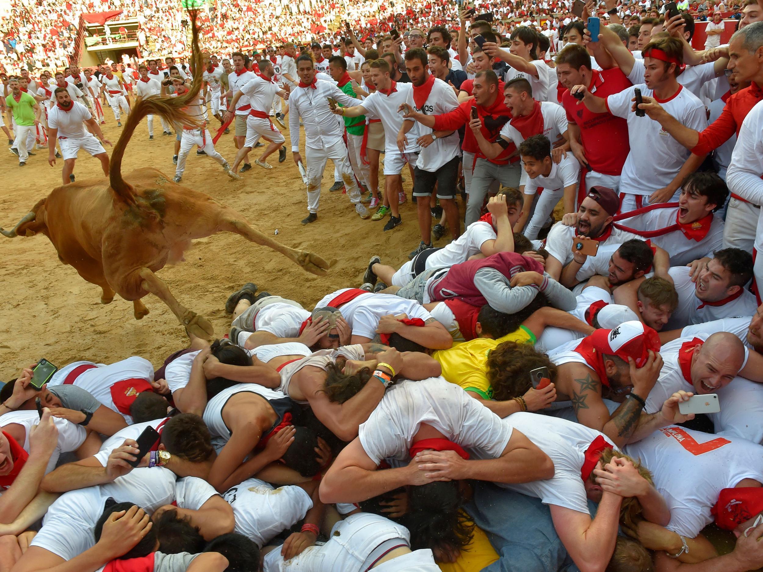 A heifer bull jumps over revellers in the bullring after the second run (Getty)