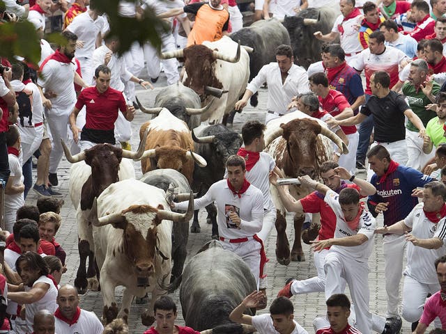 Running with bulls in Pamplona: the Basque region is a bastion for bullfighting