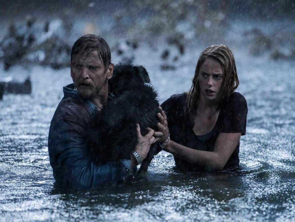 Crawl reviews and first reactions: Kaya Scodelario stars in new horror movie